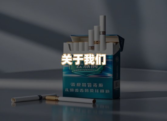关于云歌烟网